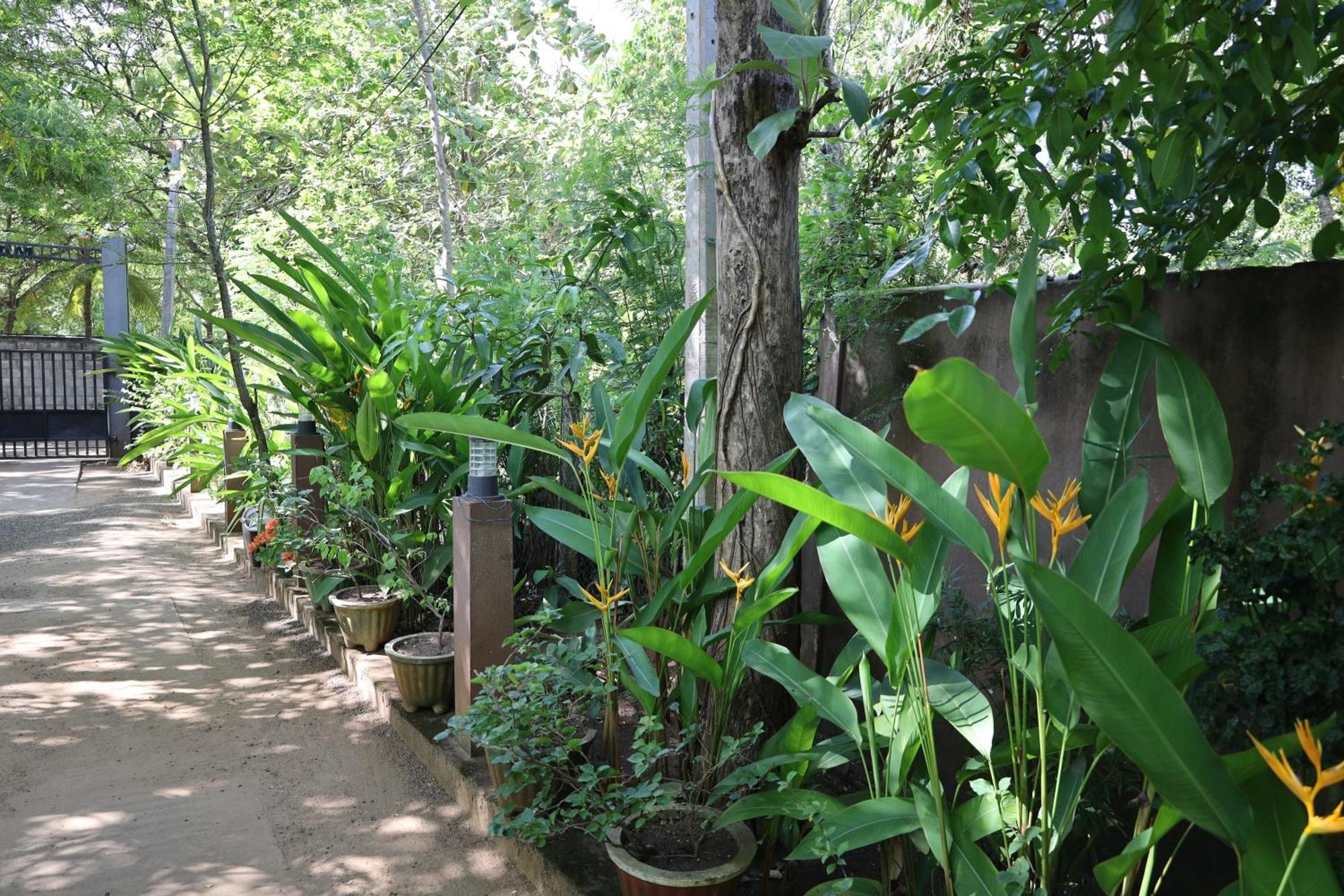 Max Safari Villa ウダワラウェ エクステリア 写真